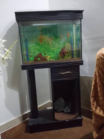 equirium along with fishes