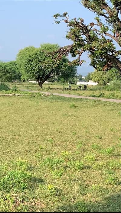 4 kanal plot