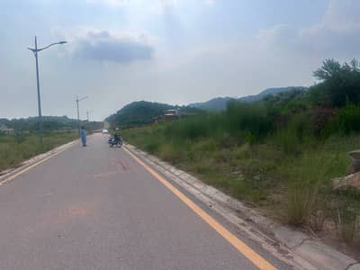 Corner, Sector "D" || South Face || Double Road