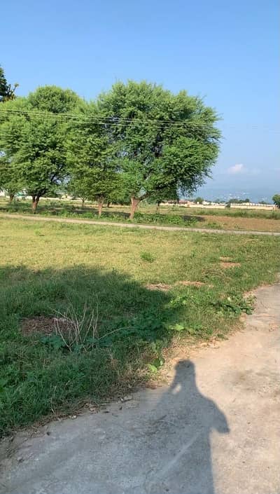 4 kanal plot for sale in dadyal ajk