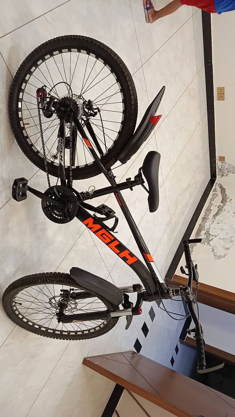 New Bicycle 2