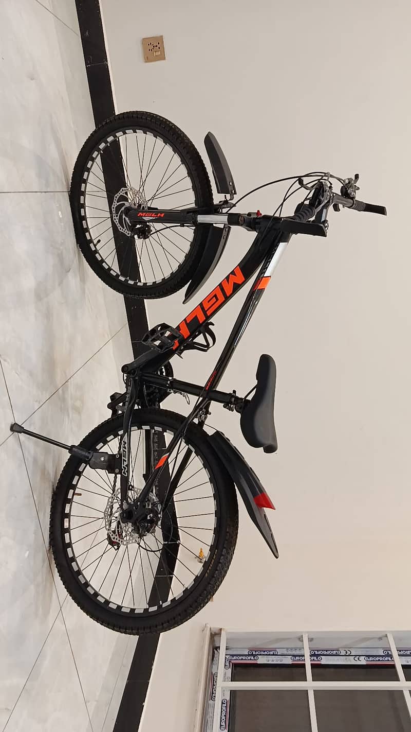 New Bicycle 3