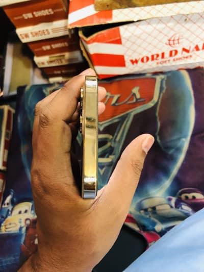 Apple iPhone 12 Pro Max