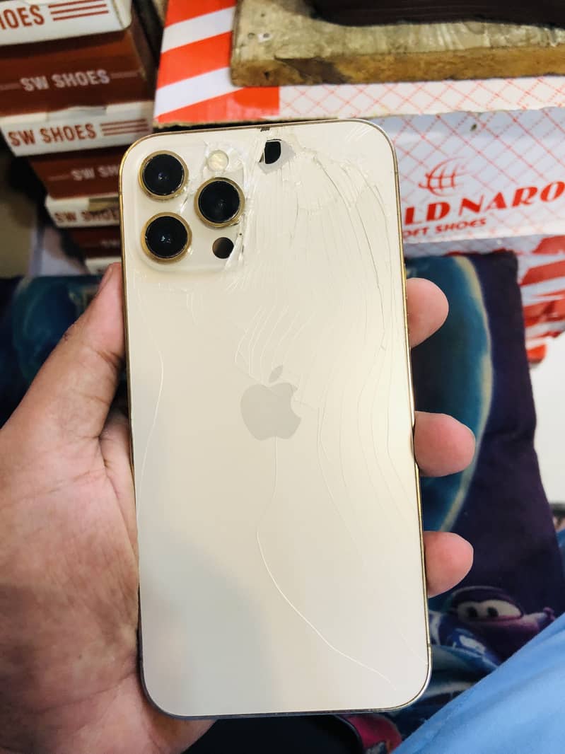Apple iPhone 12 Pro Max 1