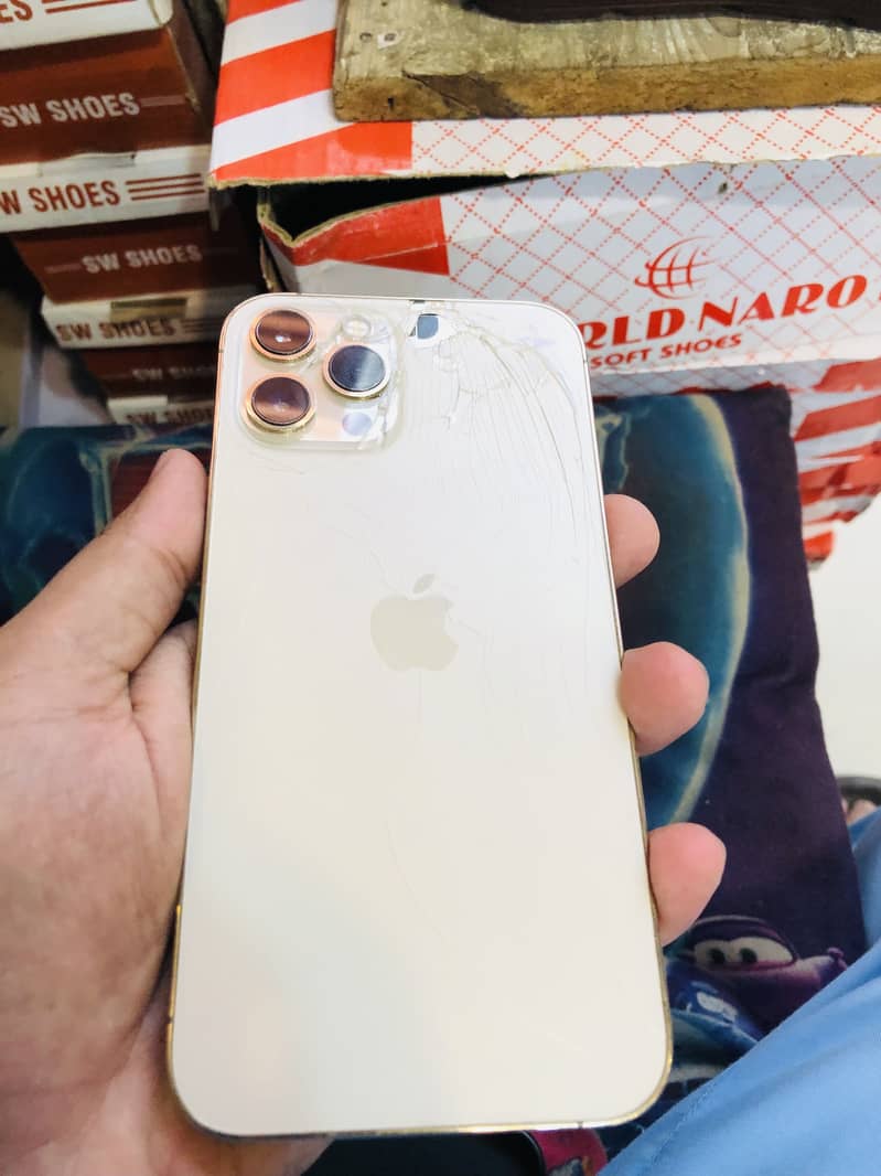 Apple iPhone 12 Pro Max 2