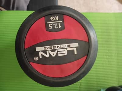 Lean Dumbbells 12.5 kgs pair =  total 25 kg