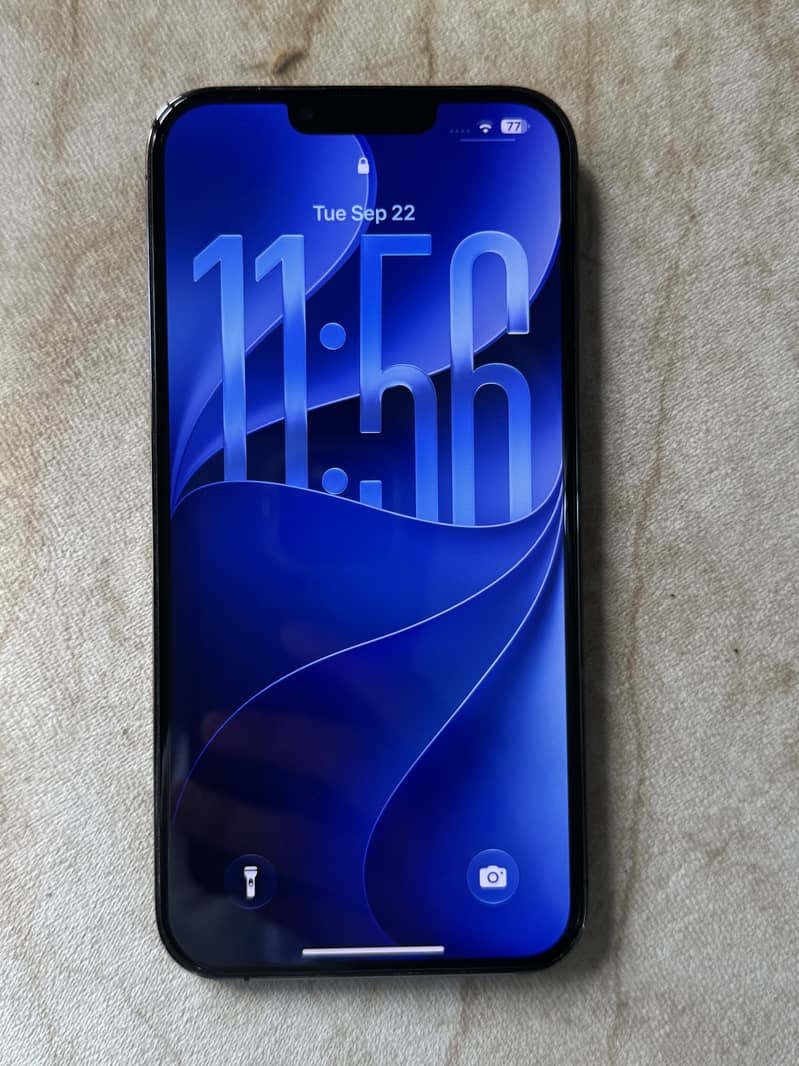 Apple iPhone 13 Pro Max 1