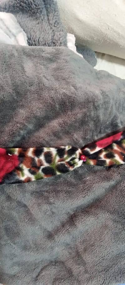 cushion cover phalis
