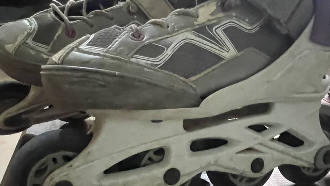 Skating shoes 1
