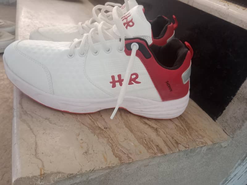 shoes 1