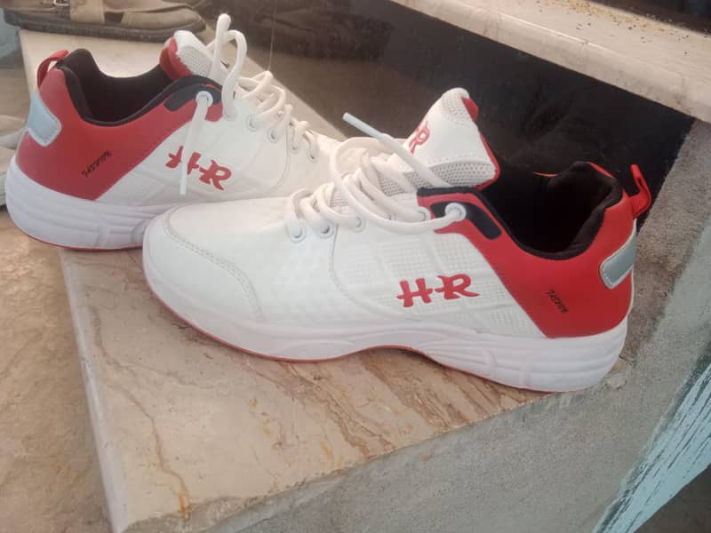 shoes 2