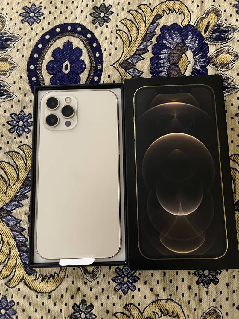 Apple iPhone 12 Pro Max 1