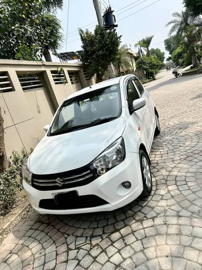 Suzuki cultus ags