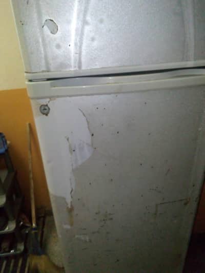 Fridge for Sale