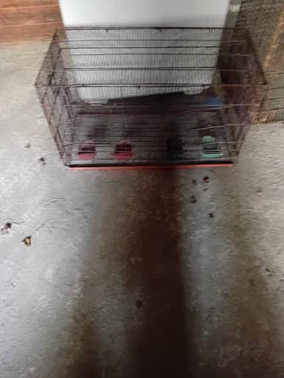 cage pinjra