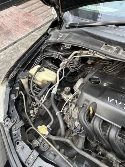 Toyota Corolla GLI 2009