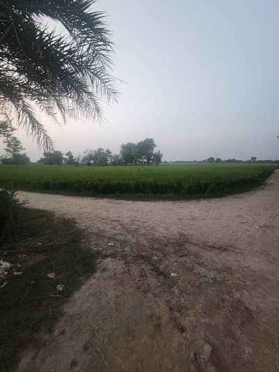10 Acre Farmhouse Land for Sale Barki Road, Lahore