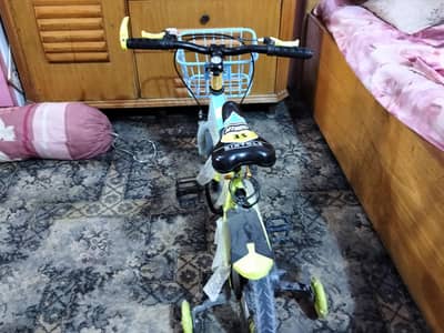 MTB cycle
