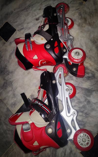 roller skates full kit