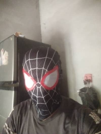 Spider Man verse miles morales Face mask