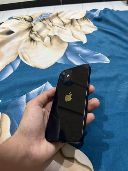 Apple iPhone 12 1