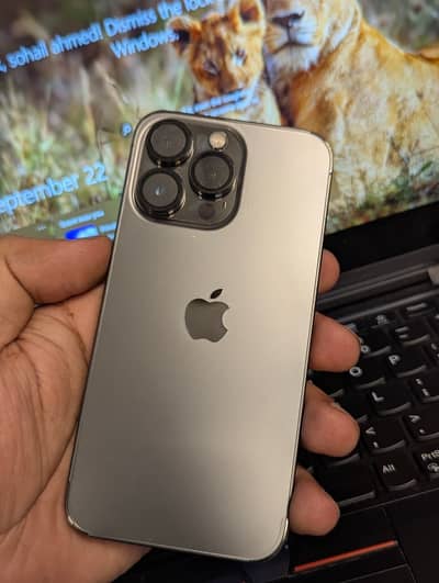 Apple iPhone 13 Pro (officially approved)