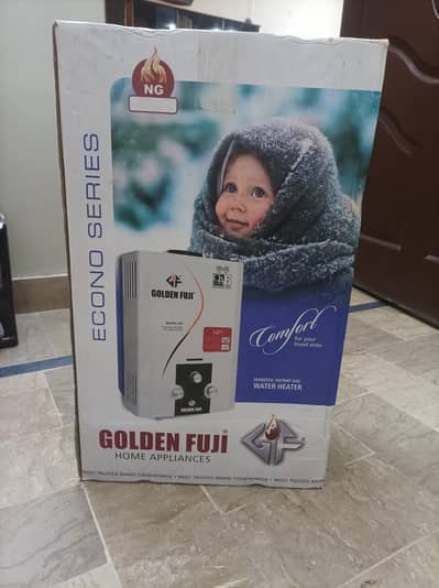 Golden Fuji Econo series geysers