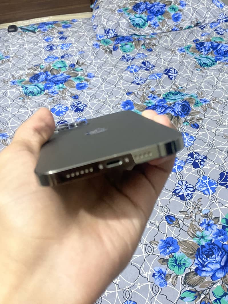 Apple iPhone 12 Pro Max 2