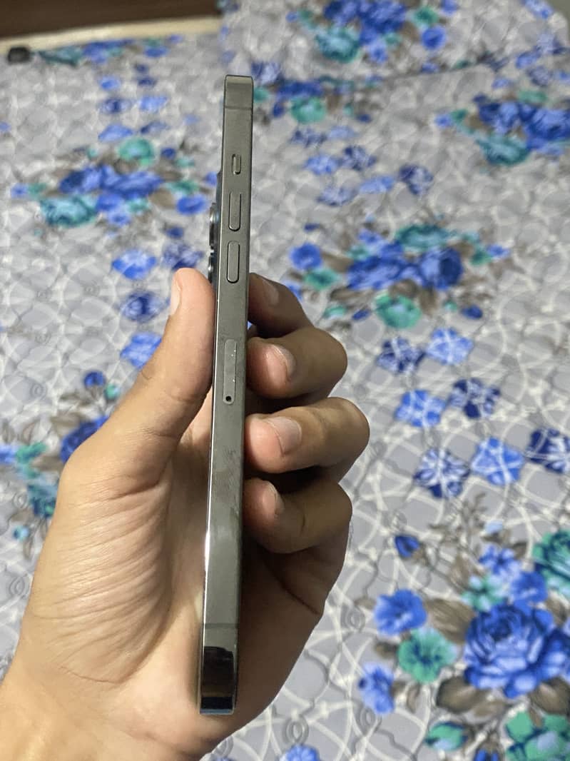 Apple iPhone 12 Pro Max 3