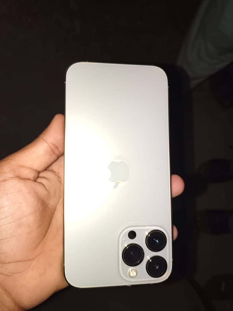 Apple iPhone 13 Pro Max 0