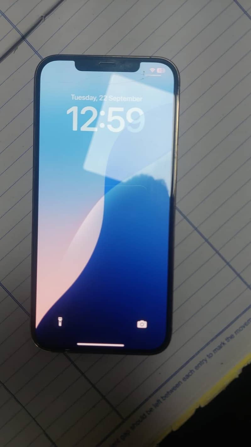 Apple iPhone 12 Pro Max 1