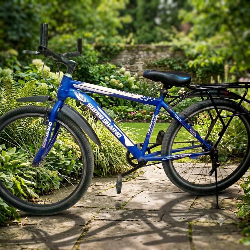 Bicycle 0