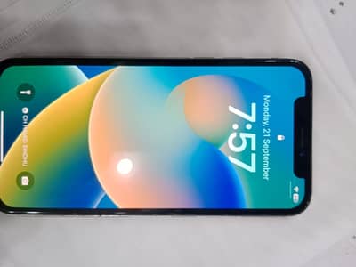 Apple iPhone X