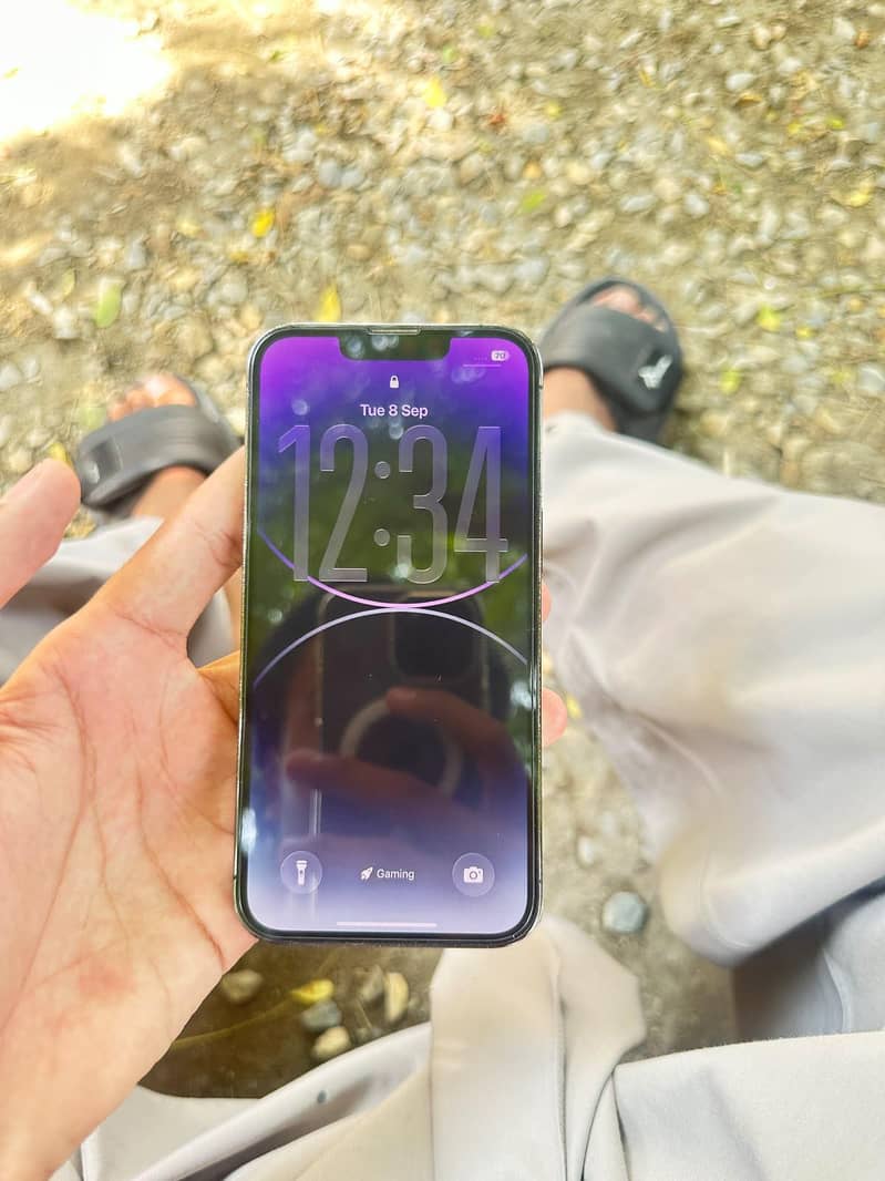 Apple iPhone 13 Pro 1