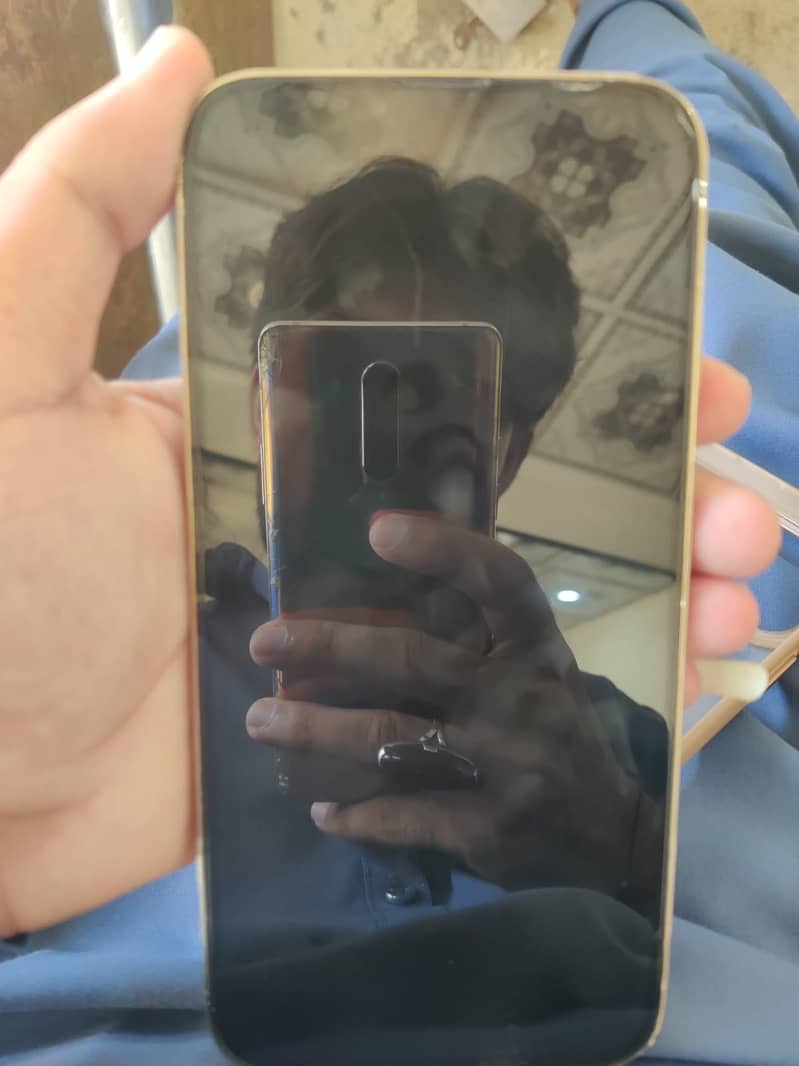 Apple iPhone 13 Pro Max 1