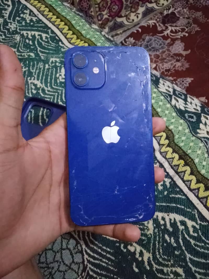 Apple iPhone 12 1
