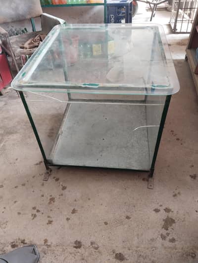showcase 1 item
