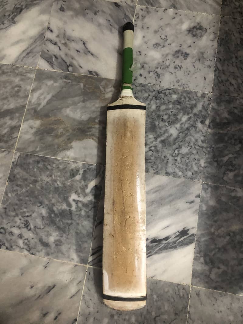 Coconut bat 0