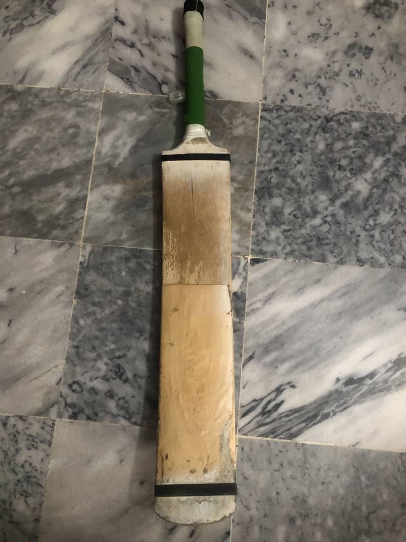 Coconut bat 1