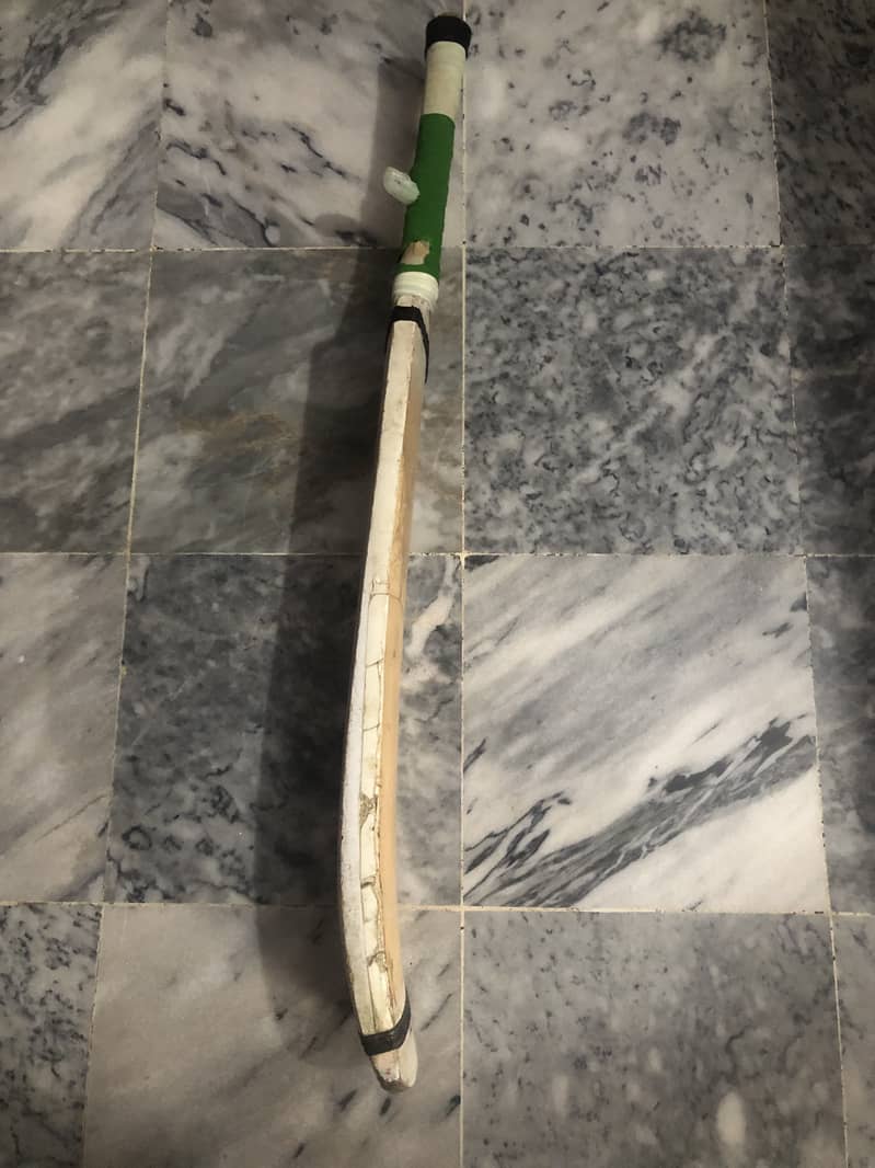Coconut bat 2