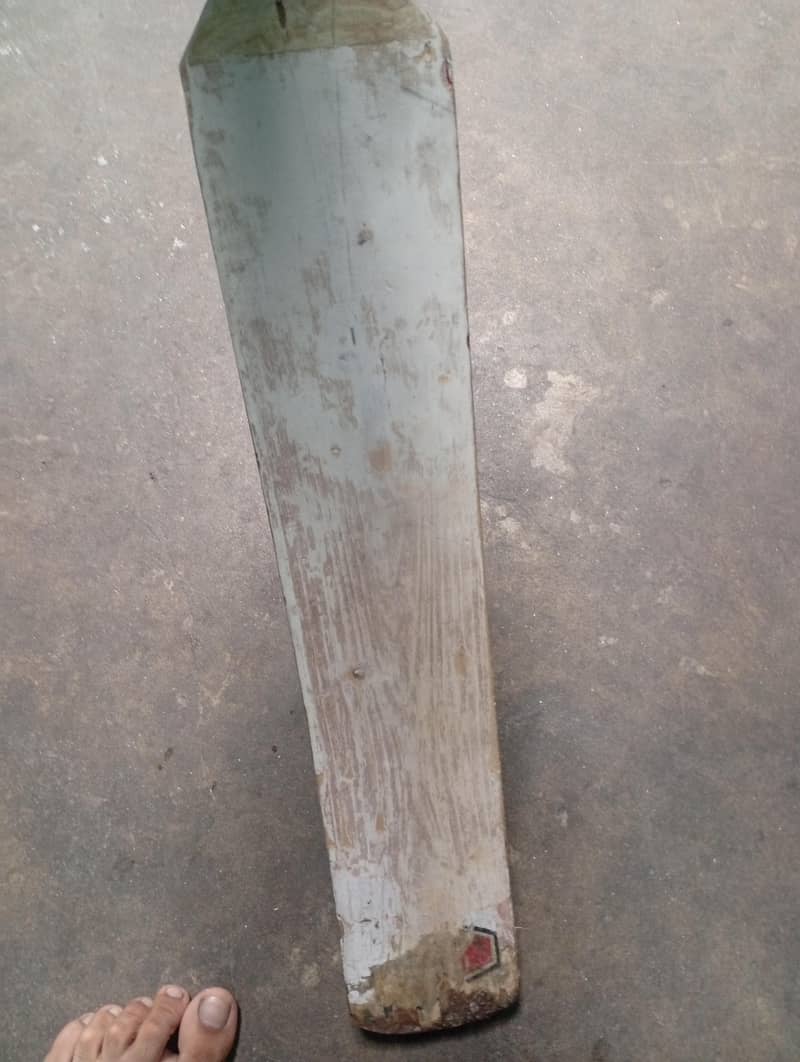 cricket bat 0