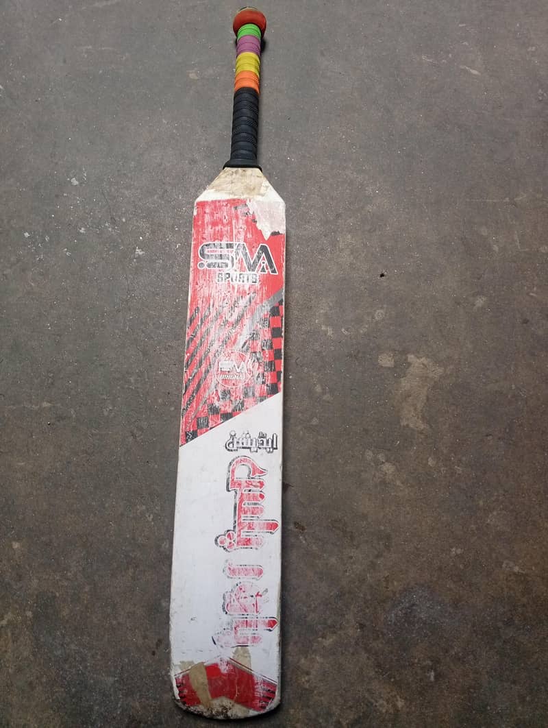 cricket bat 2