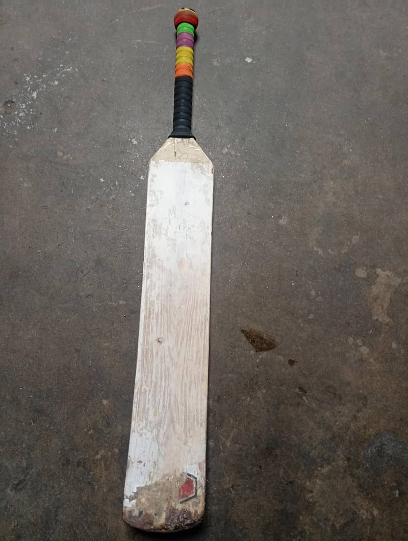 cricket bat 3