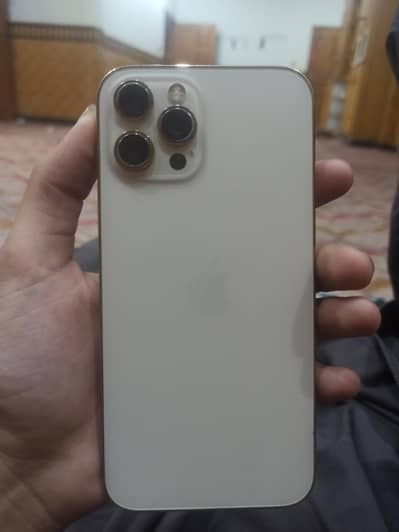 Apple iPhone 12 Pro Max