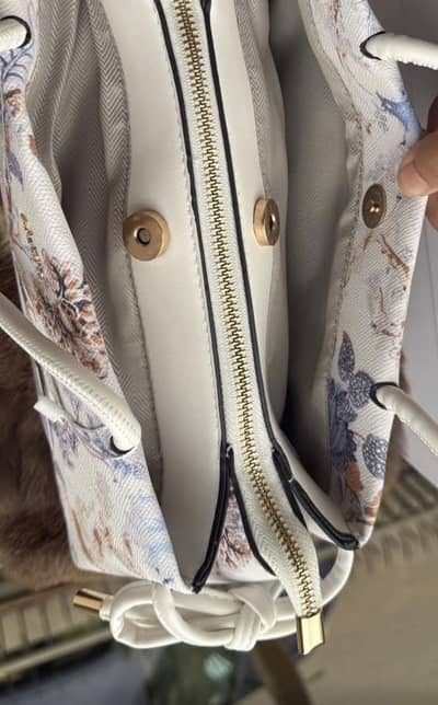 Aldo bag