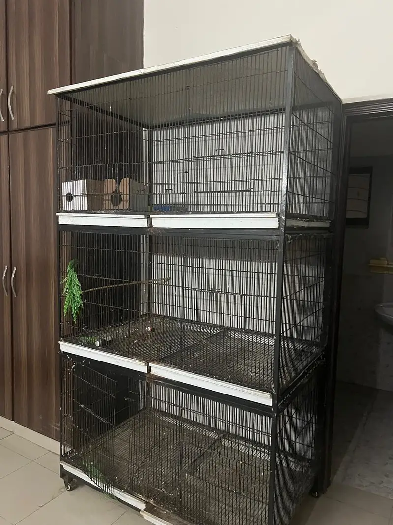 Grey | Parrot | Macaw & Cockatoo Bird Customized cages | Parrot cage