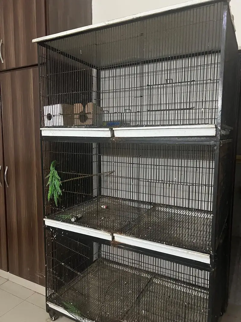 Grey | Parrot | Macaw & Cockatoo Bird Customized cages | Parrot cage — photo 2