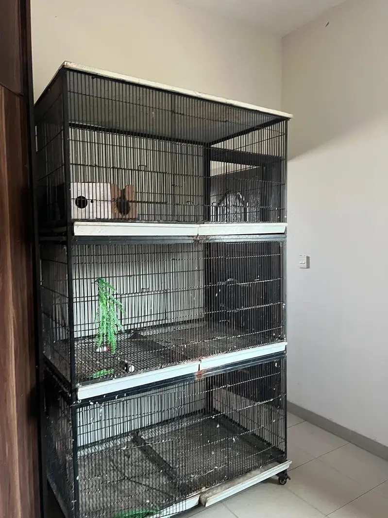 Grey | Parrot | Macaw & Cockatoo Bird Customized cages | Parrot cage — photo 3