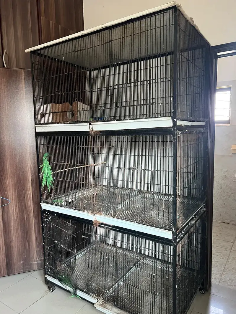 Grey | Parrot | Macaw & Cockatoo Bird Customized cages | Parrot cage — photo 4