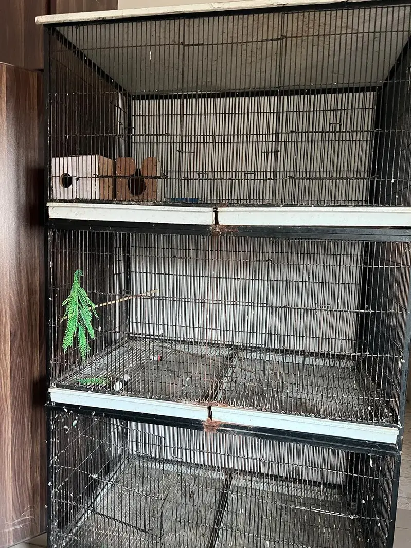 Grey | Parrot | Macaw & Cockatoo Bird Customized cages | Parrot cage — photo 5